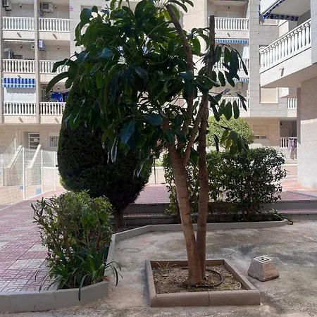 Perfect Pool Llm アパート